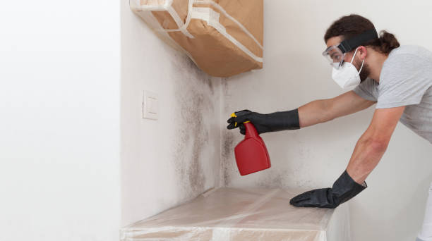 Professional Commercial Mold Remediation technician working in Augusta, MI
